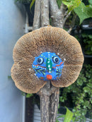 Upcycle Artisanal Forest Mushrooms for Decor and Culinary Use