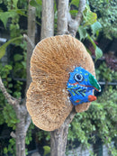 Upcycle Artisanal Forest Mushrooms for Decor and Culinary Use