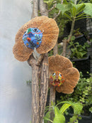 Upcycle Artisanal Forest Mushrooms for Decor and Culinary Use