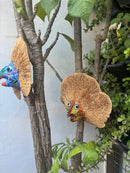 Upcycle Artisanal Forest Mushrooms for Decor and Culinary Use