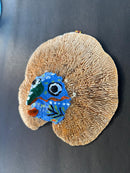 Upcycle Artisanal Forest Mushrooms for Decor and Culinary Use