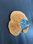 Upcycle Artisanal Forest Mushrooms for Decor and Culinary Use