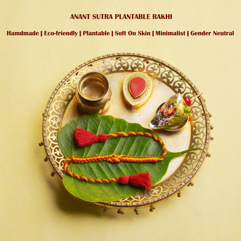 Scrapshala Handmade Minimalist Anant Sutra Plantable Seed Rakhi Box with Roli-Chawal Tulsi Plant