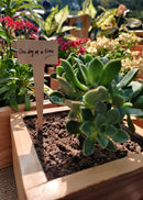 Hohmgrain 4" Cube Planter with Grow Bag