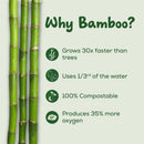 Bamboo Paper Napkins (1 Ply | 100 Sheets)