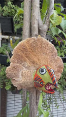 Upcycle Artisanal Forest Mushrooms for Decor and Culinary Use