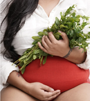 Wear Equal Love Knot Maternity Brief