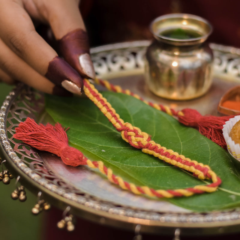 Scrapshala Handmade Minimalist Anant Sutra Plantable Seed Rakhi Box with Roli-Chawal Tulsi Plant