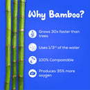 Bamboo Toilet Paper (3 Ply | 160 Pulls | Pack of 6)