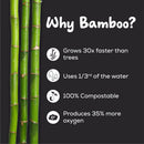 Bamboo Tissue Tube Black (Pack of 2)