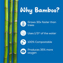 Bamboo Tissue Tube Black (1 Tube + 3 Refills)