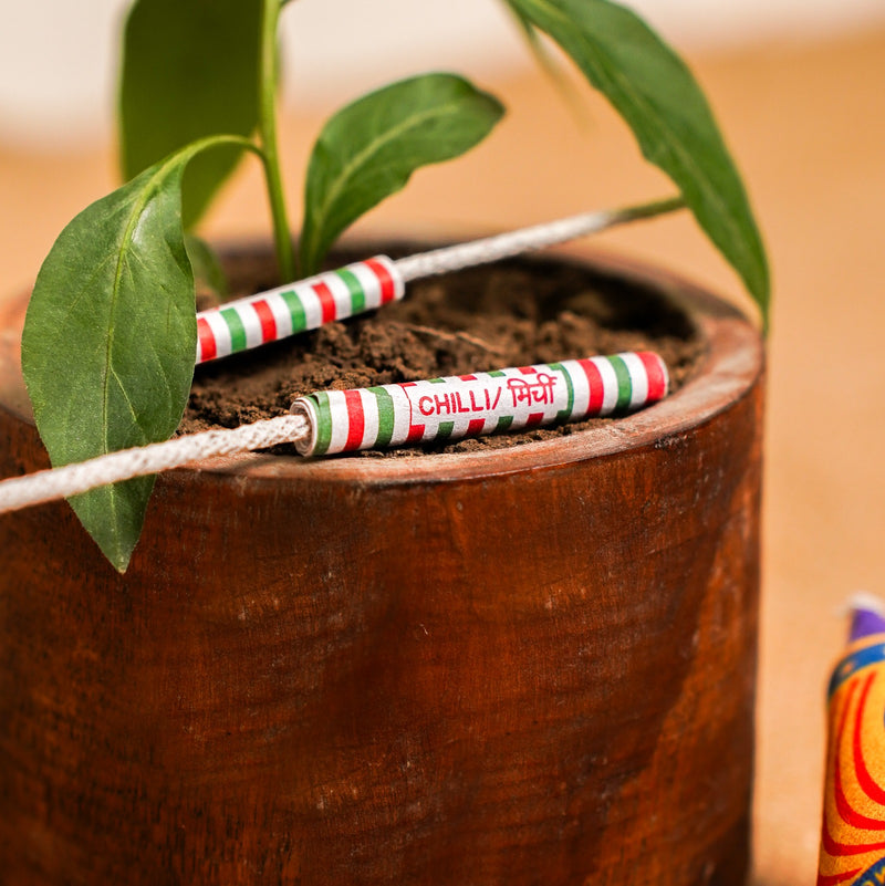 Grow Me Diwali Gift Hamper | Plantable Crackers Pack | Wooden Planter | Handcrafted in Banaras