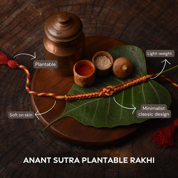 Scrapshala Handmade Minimalist Anant Sutra Plantable Seed Rakhi Box with Roli-Chawal Tulsi Plant
