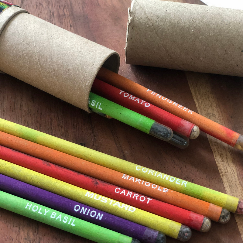 Sow and Grow Plantable Seed Pencils with a Free Re-usable Pencil Box (Pack of 12 Pencils)
