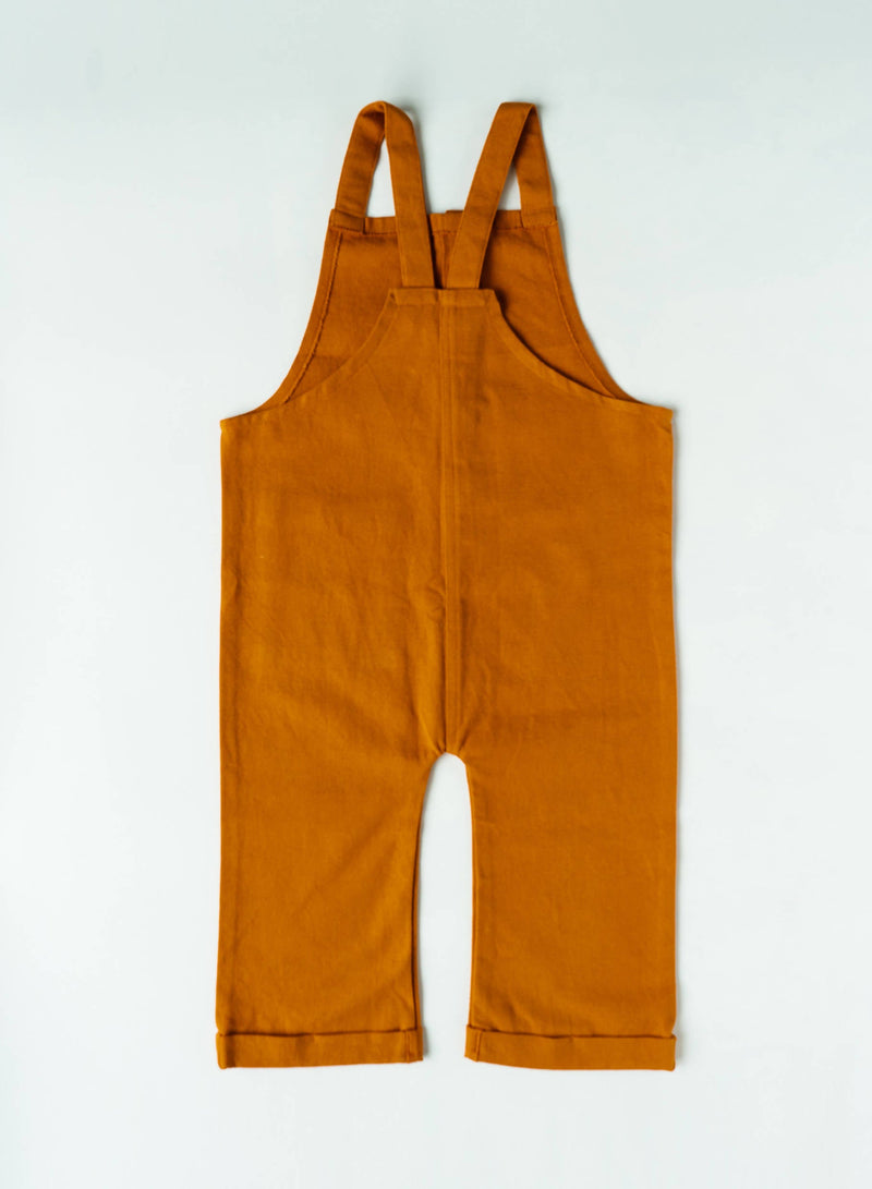 Organic Cotton Dexter Boy's Overalls