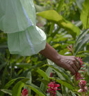 The Jodi Life  Raat Ki Rani Cotton Maxi Dress