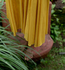The Jodi Life  Marigold Mul Cotton Pleated Dress
