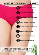 Bamboology Leak Proof Bamboo Fabric Menstrual/Period Panty With Free Panty Liner