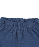 Organic Rocking Horse Tshirt and Shorts Set