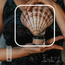 Anour Cocktail Drop Solid Perfume