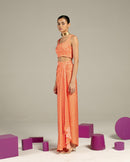 Studio Rigu  Ella Draped Skirt and Crop top Co-ord in Vegan Silk