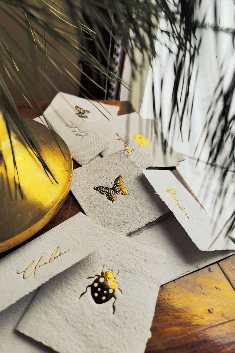 Unalome Ladybug Handmade Sugarcane Paper Wishcards - Set of 5