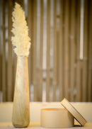 Hohmgrain Home Décor Light Brown Single Piece Seasoned Mango Wood Vase