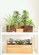 Hohmgrain Home Décor Light Brown Canadian Pine Wood Handcrafted Cube Planters-Set of 3