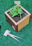 Hohmgrain Home Décor Dark Brown Canadian Pine Wood Handcrafted 6" CUBE PLANTER