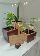 Hohmgrain Home Décor Light Brown Canadian Pine Wood Handcrafted Cube Planters-Set of 3