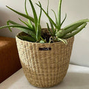 Fiber Planter Pot