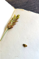 Unalome Sugarcane Paper Handmade Notebook